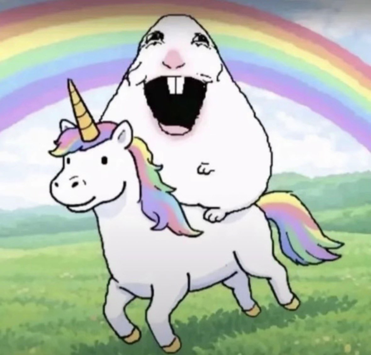 diana ! 𑣲 tweet media