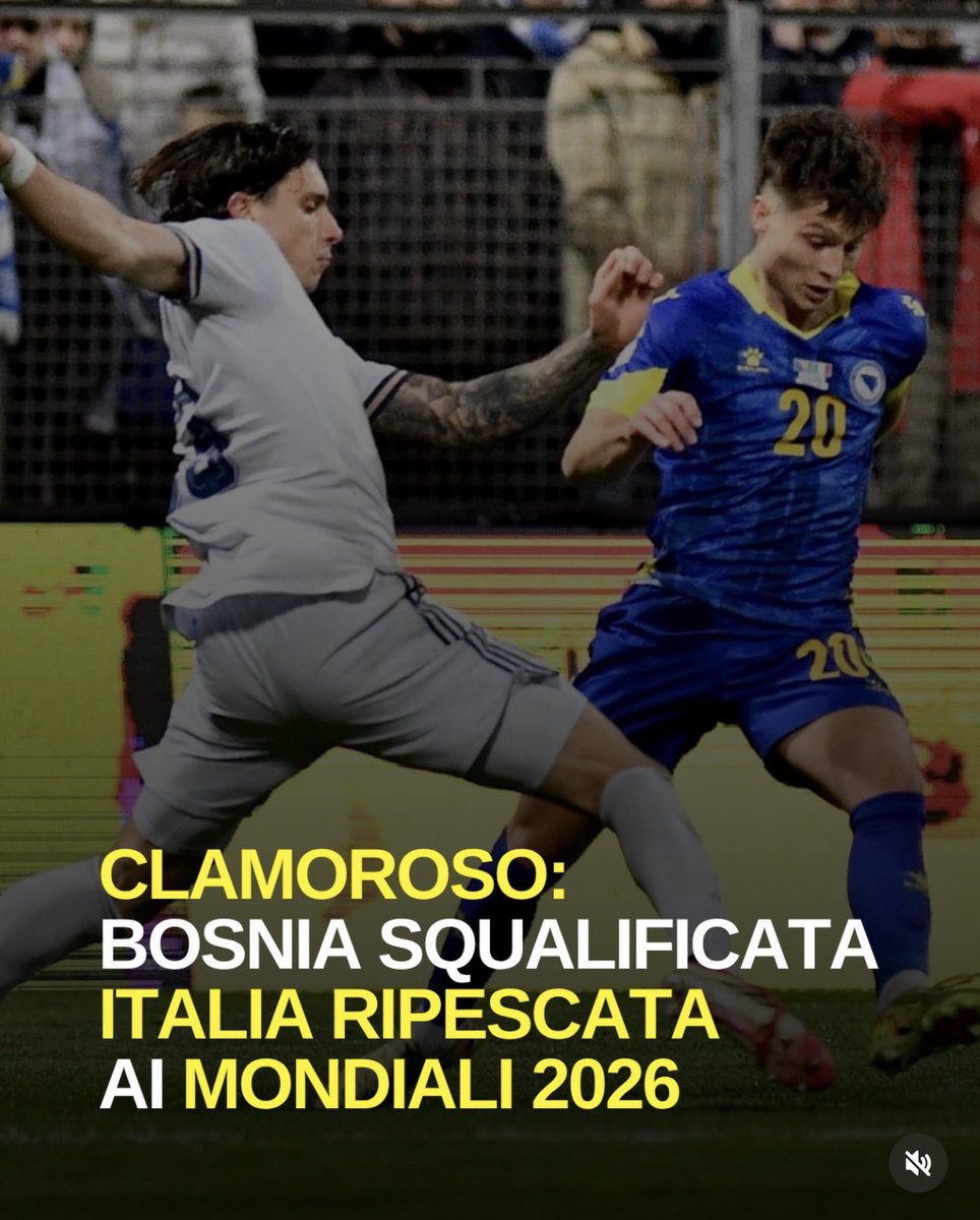 Ila 🦔 tweet media