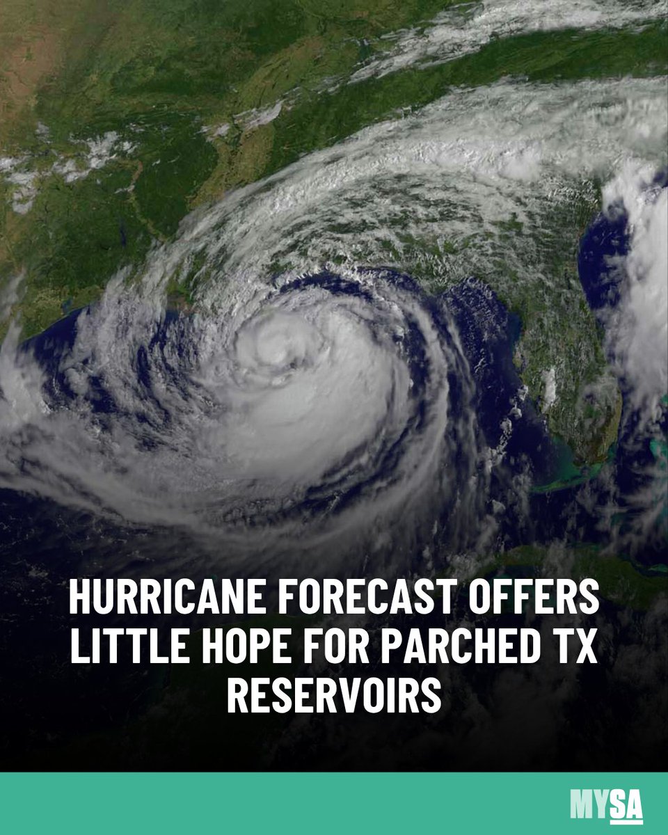 MySA tweet media