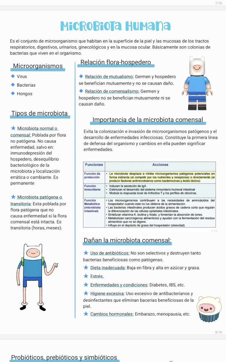 leonor𓂃˖ ࣪⊹ tweet media