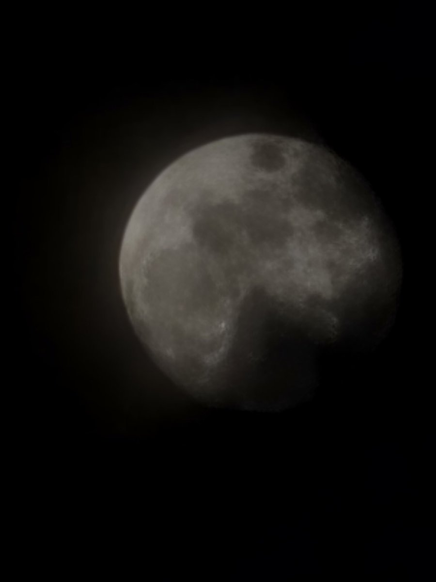 maaleseftr tweet media