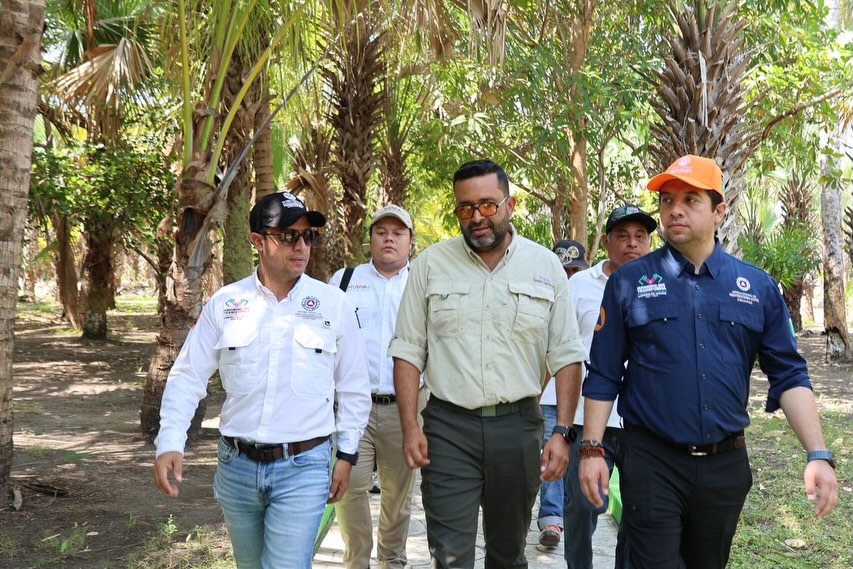 Secretaría de Protección Civil de Chiapas tweet media