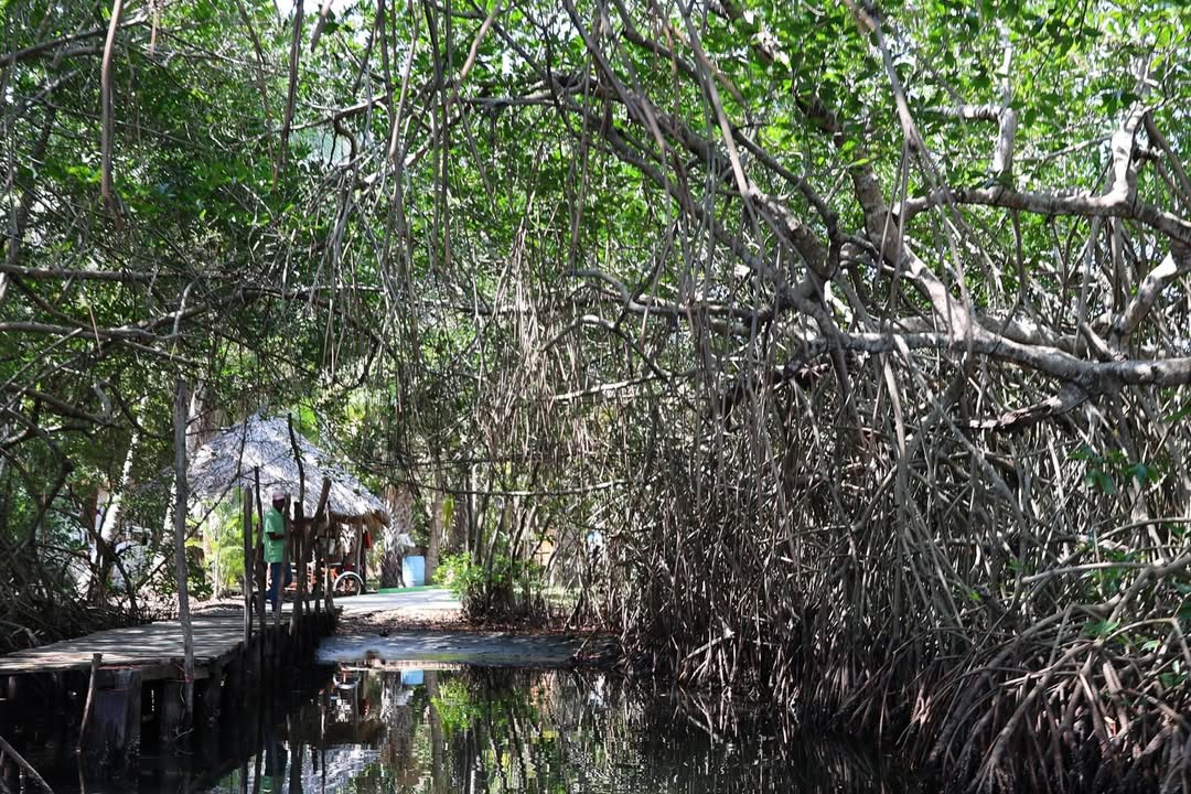 Secretaría de Protección Civil de Chiapas tweet media