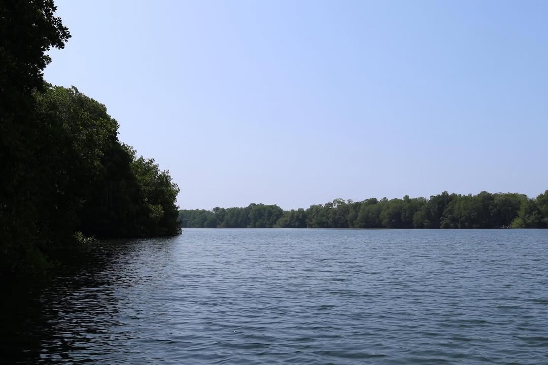 Secretaría de Protección Civil de Chiapas tweet media