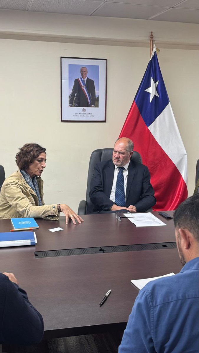 ONU Chile tweet media