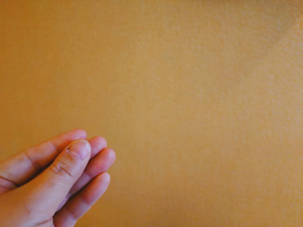 津田淳子 tweet media