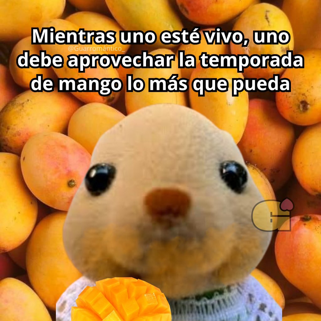 El Guarromántico tweet media