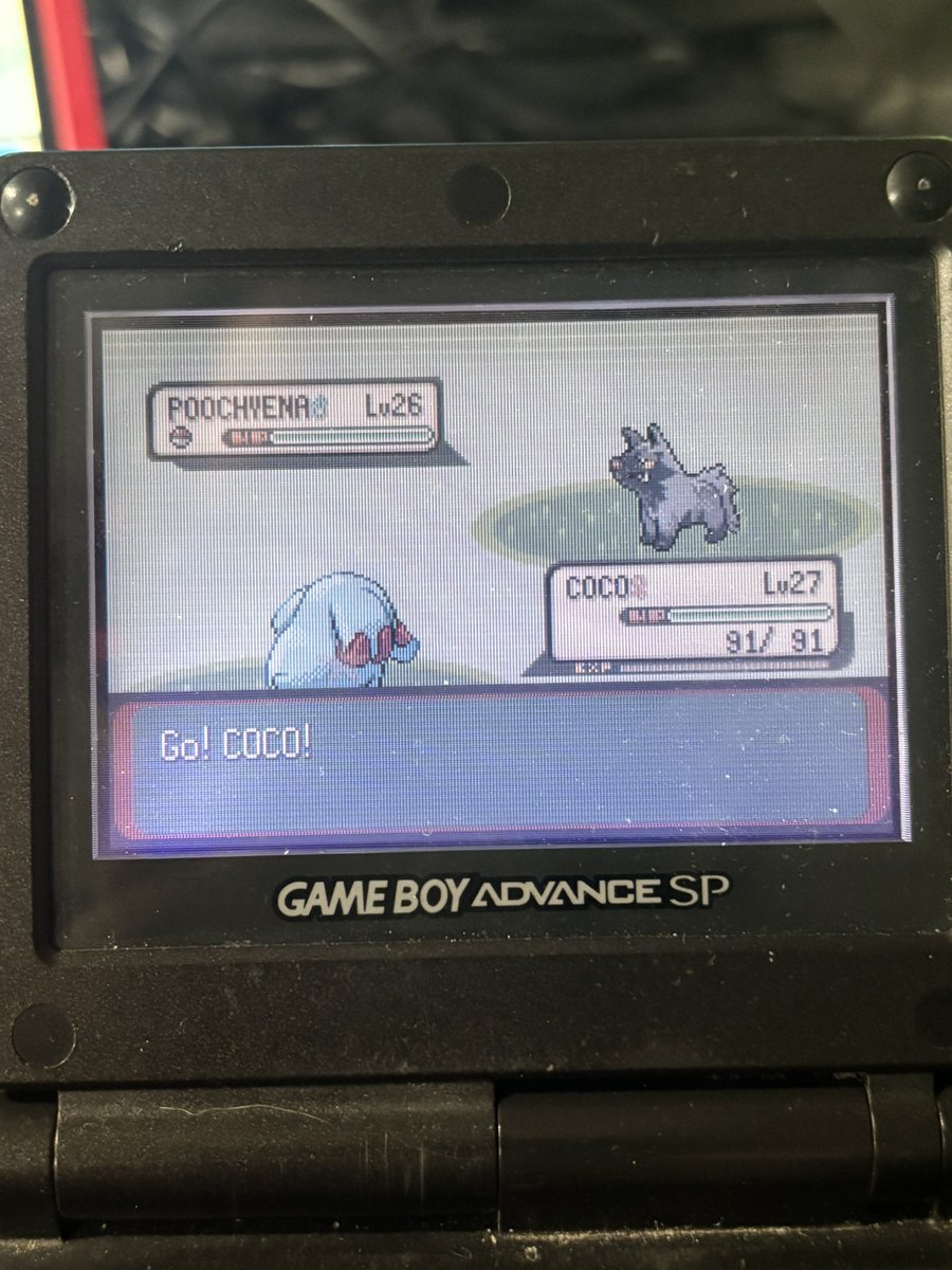 SHAusti3's tweet photo. Second shiny in as many days, Shiny Phanpy in the Emerald Safari Zone after 8,596 RE’s.  Caught after 2 balls, very happy to finally get one of these.  This was the second phase for shiny Heracross.  Onto the next phase, good luck on all of your hunts! https://t.co/ZtChh7yBsR