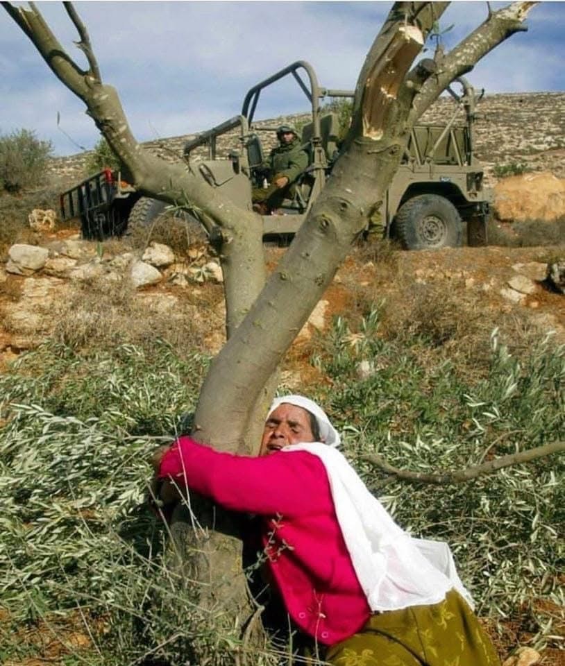 بيســــان tweet media