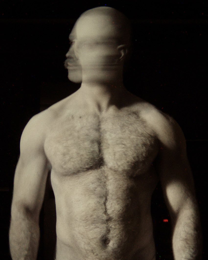 gallipony tweet media