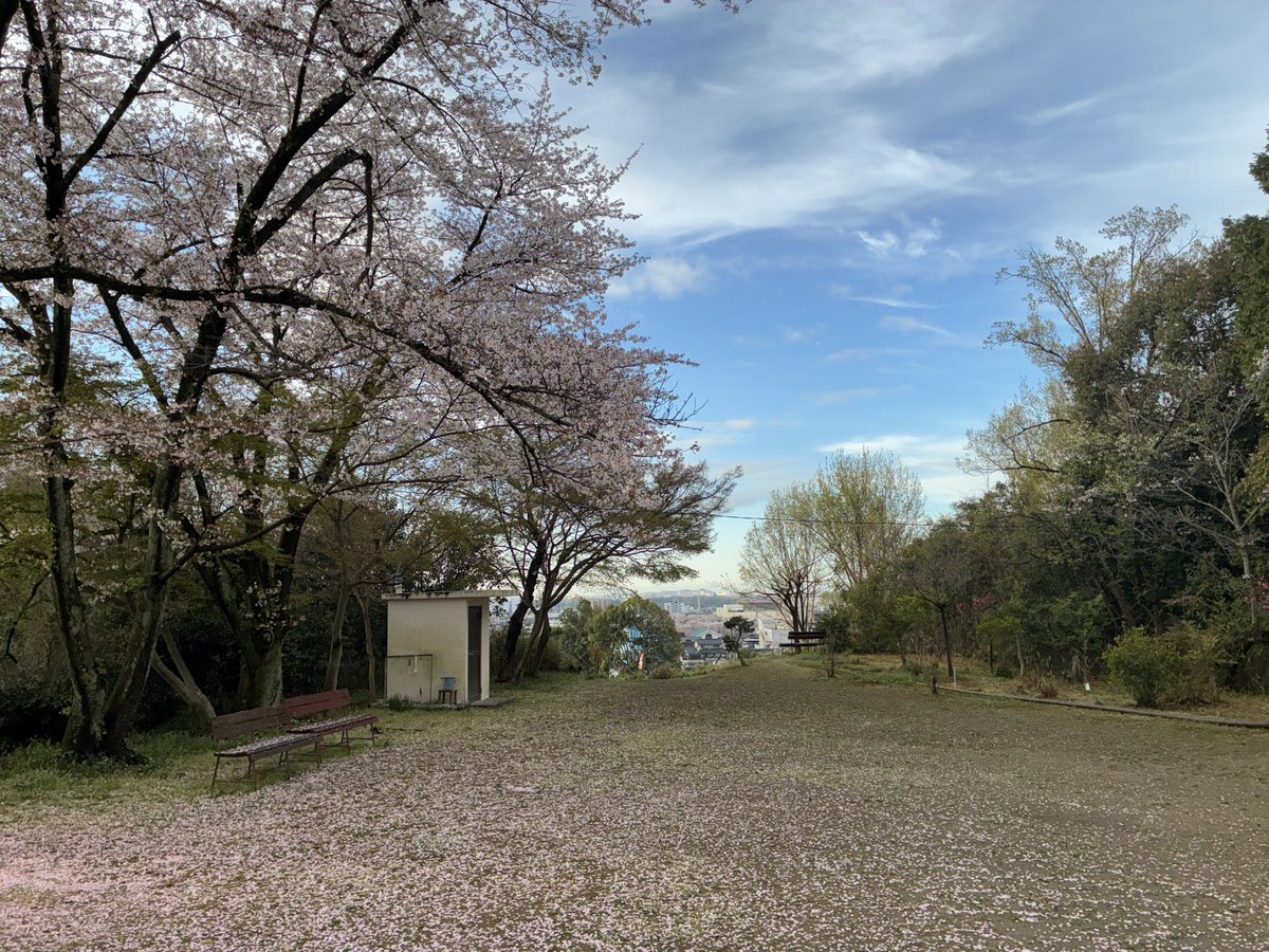 しげぞー tweet media