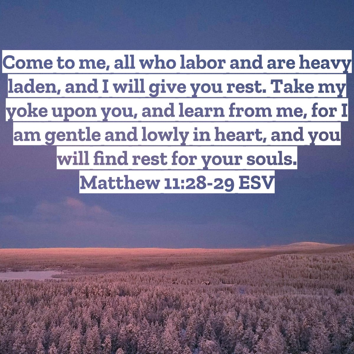 AmorProximi tweet media