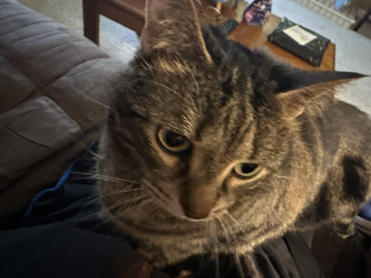 Your Evil Plaything tweet media