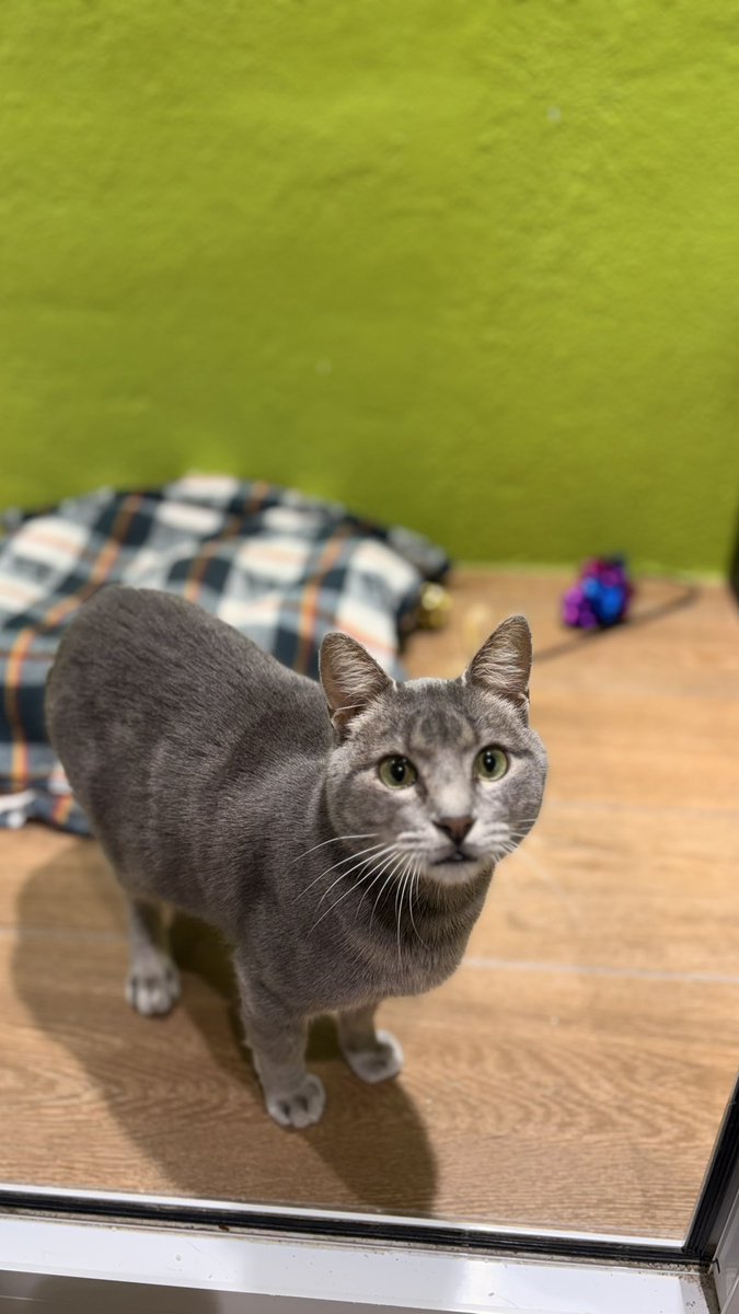 HuellasUrbanasSf tweet media