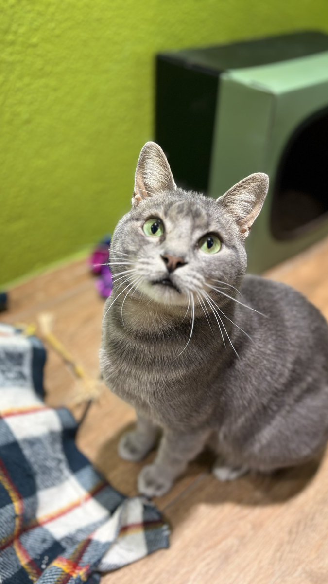 HuellasUrbanasSf tweet media