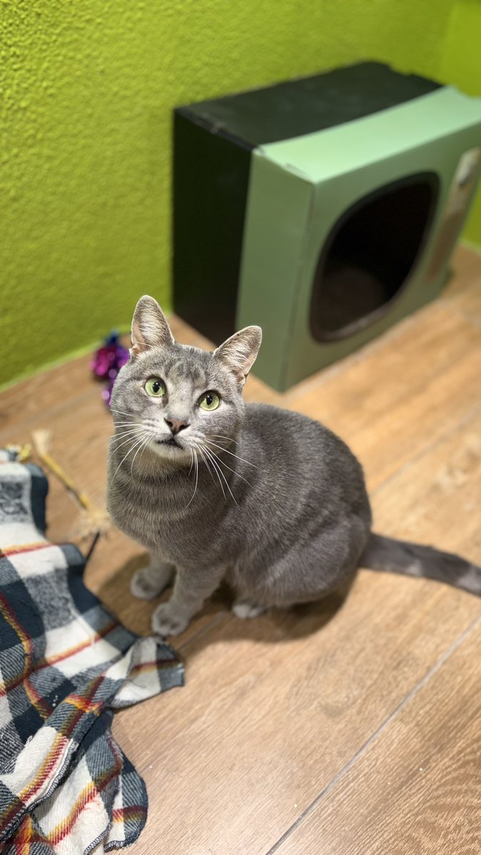 HuellasUrbanasSf tweet media