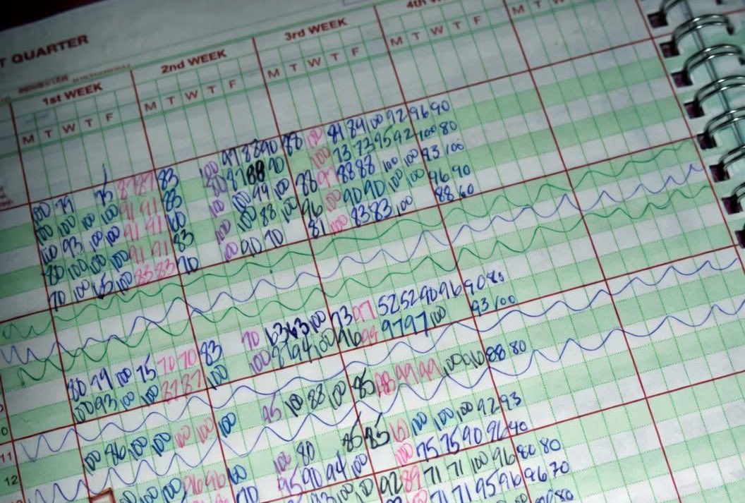 Thrilla the Gorilla tweet media