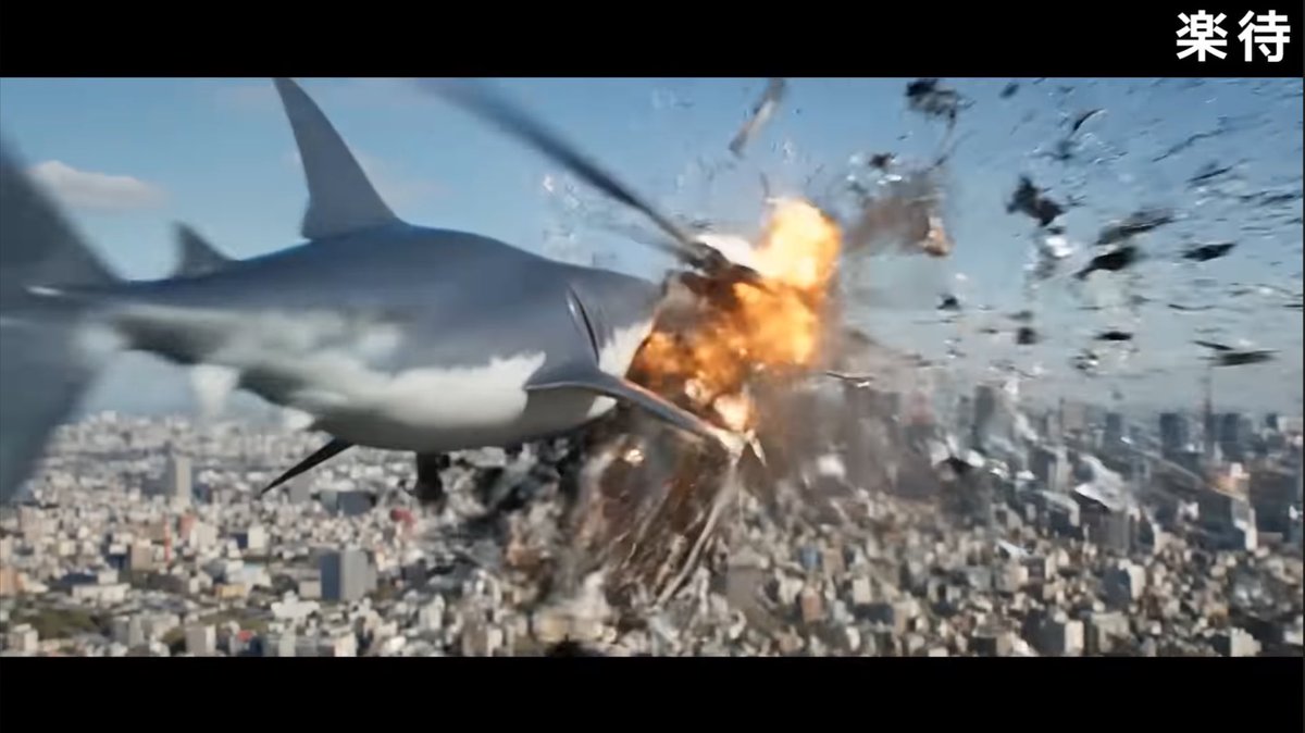 サメ映画ルーキー tweet media