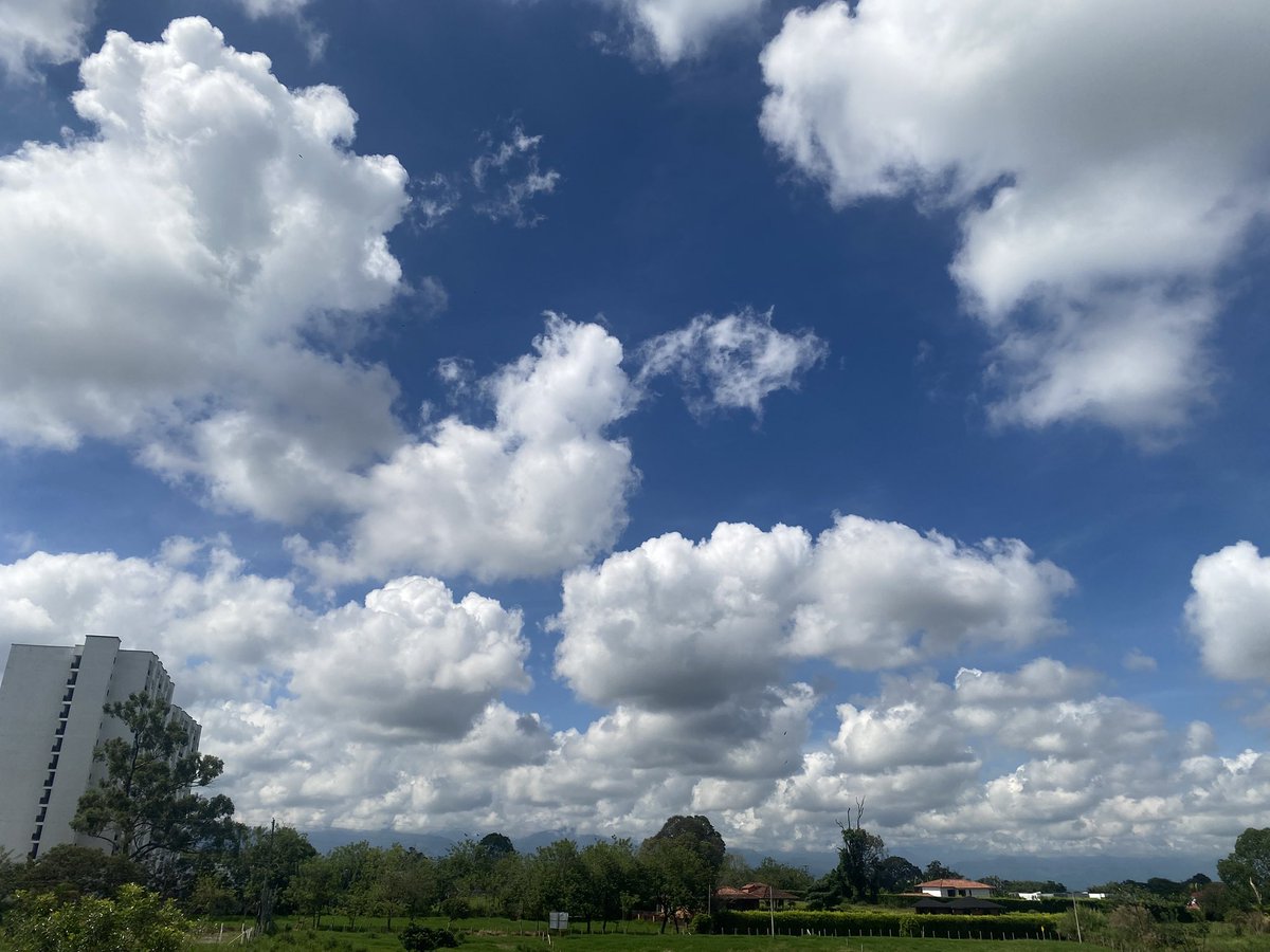 2axan9's tweet photo. ☀️ https://t.co/50tQd0PFwF