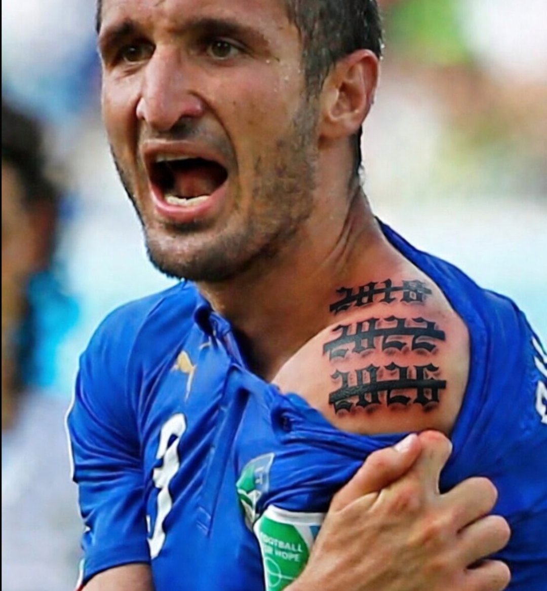 Előd 🦓⚪⚫ tweet media