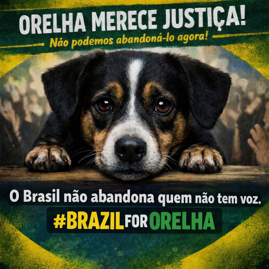 Para sempre Orelha!!!
#JustiçaPorOrelha
#QueremosRespostas
#OrelhaNãoSeráEsquecido
#FEDERALIZAÇÃODOCASOORELHA 
#CPIDOORELHAJÁ
#JustiçaPorJohnny
#JustiçaPorChico
#NãoParemDeFalarDoCasoOrelha