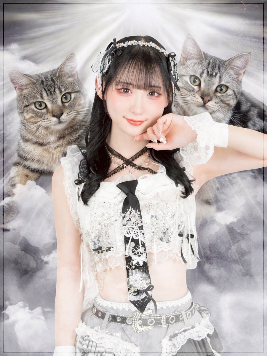 結城 心陽 tweet media