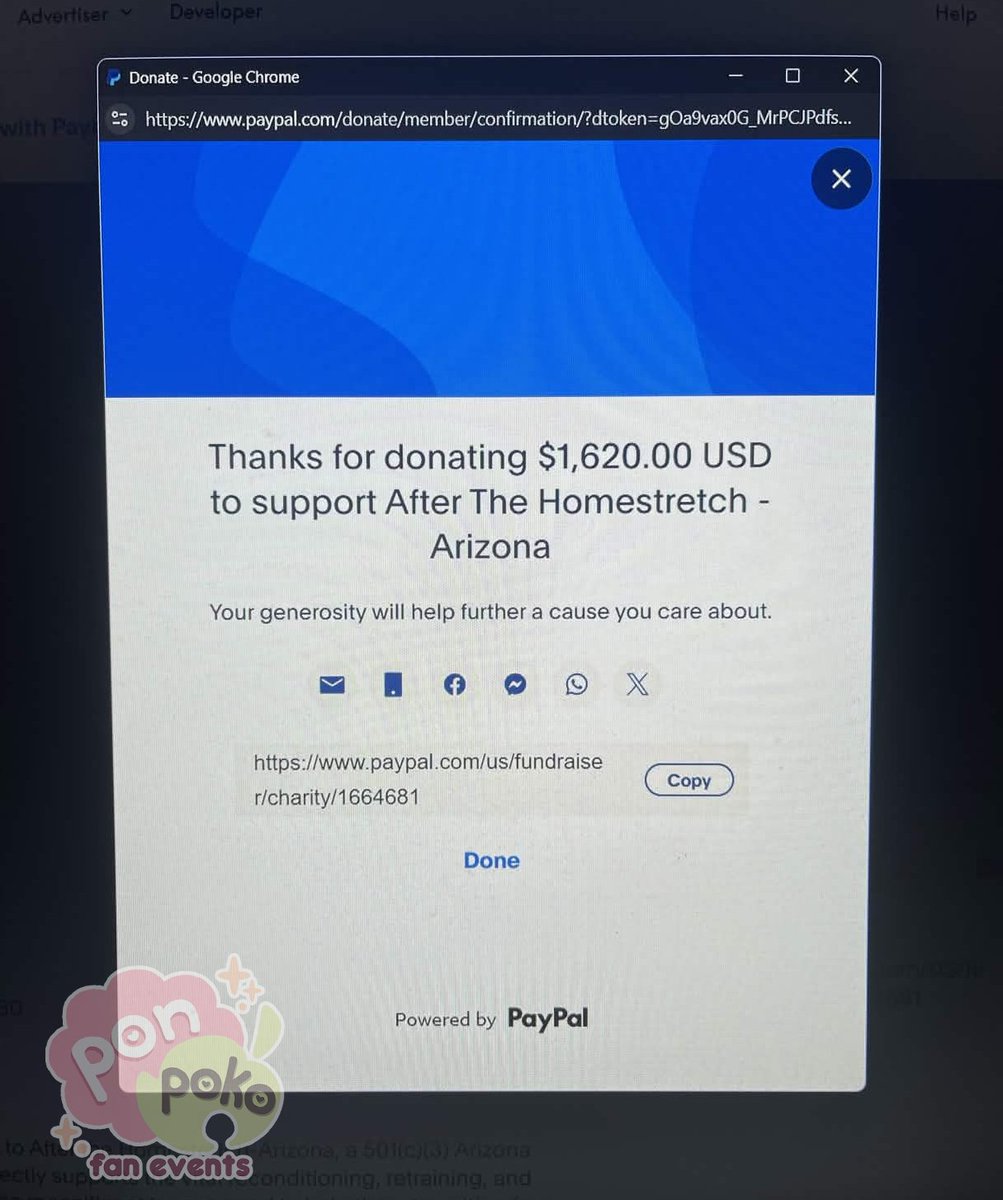 Pon Poko Fan Events 🍃✨ tweet media