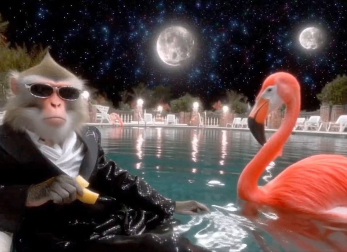 gerzfe's tweet photo. Chill memecoin trader $Esoteric 

4ZyqSdedfVYJ98mCV3eVxN8qYPgLR5efxvSRh7bzpump https://t.co/dRz7dhJONu