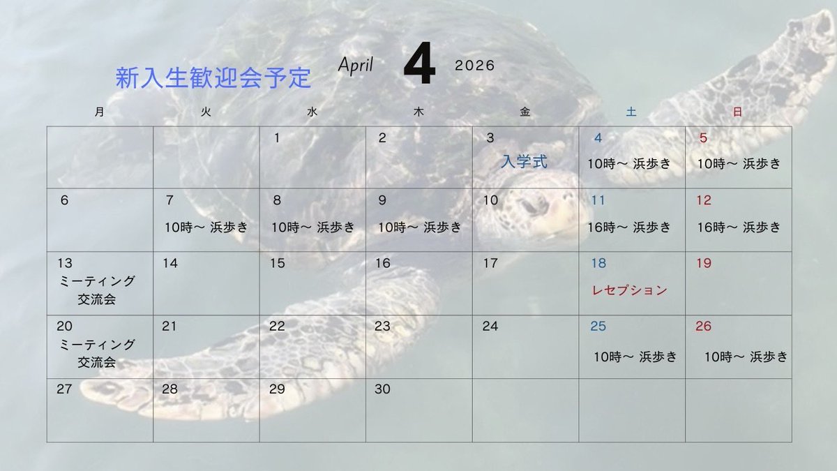 三重大学、ウミガメ・スナメリ調査保全サークル「かめっぷり」です！

本年度の新歓が始まります‼️
我々の活動に少しでも興味のある方は学部、学年問わずたくさんのご参加待ちしております🙇‍♂️

主に大学裏の海岸で浜歩きを行います♪

⬇️こちらが本年度の新刊カレンダーになります

#三重大

#三重大学