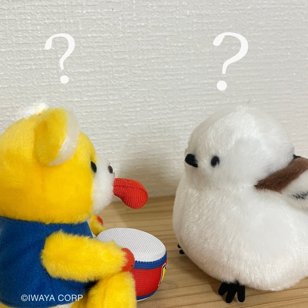 イワヤ株式会社 tweet media