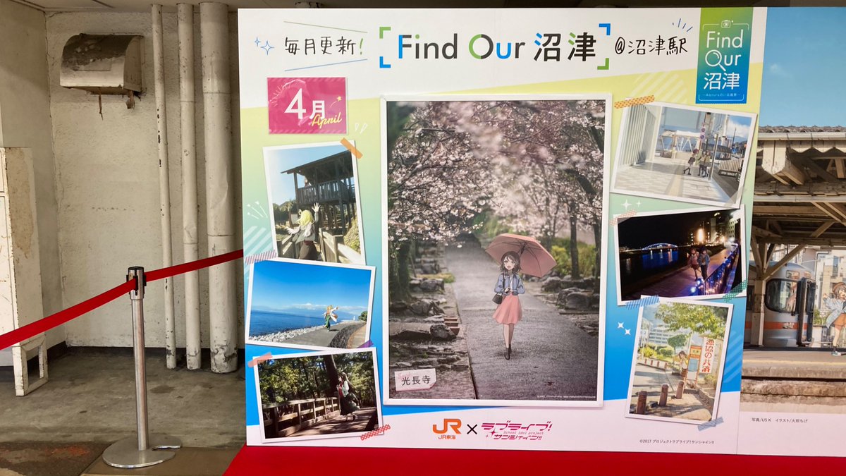 たぬき丸 tweet media