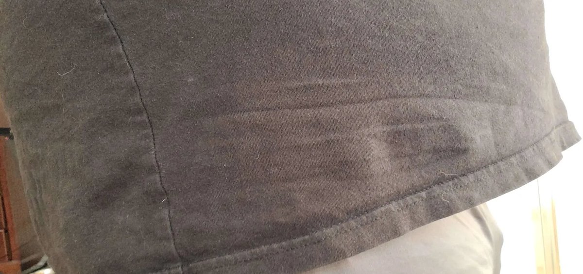 BubbleFox_IRL tweet media