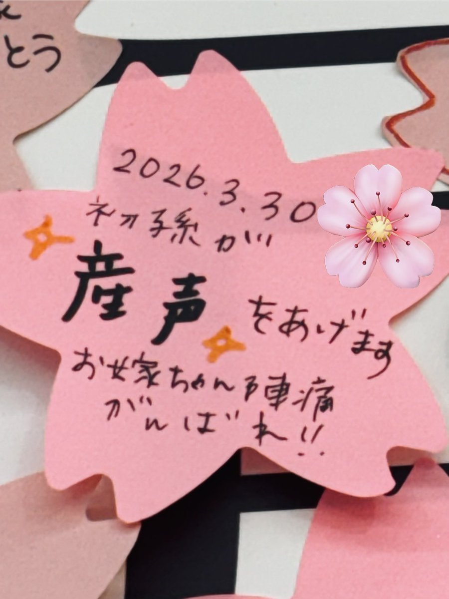 kkrsmca's tweet photo. タワーレコード渋谷店、メッセージボード最終日にやっと行けました🌸
そして31日に初孫が産声をあげました💕
いろいろあったけど母子共に無事でホッと一息。命のリレーを実感✨
桜井さん、素敵な歌をありがとう😂
 #MrꓸChildren
#産声
#命のリレー
#初孫 https://t.co/Mbpkc7TjnT