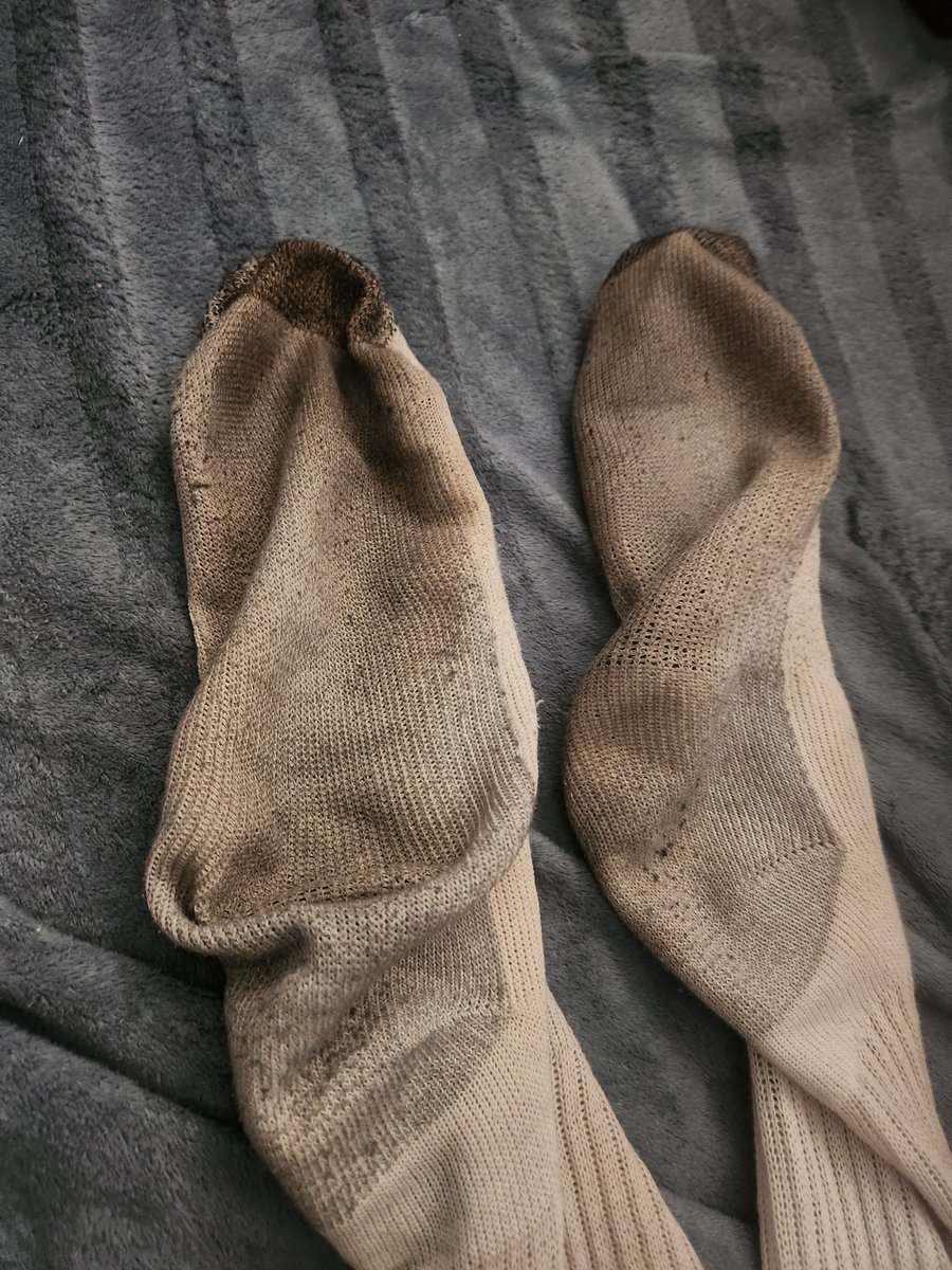 Cammille tweet media