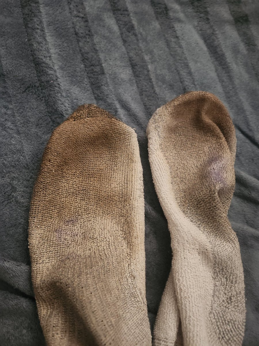 Cammille tweet media