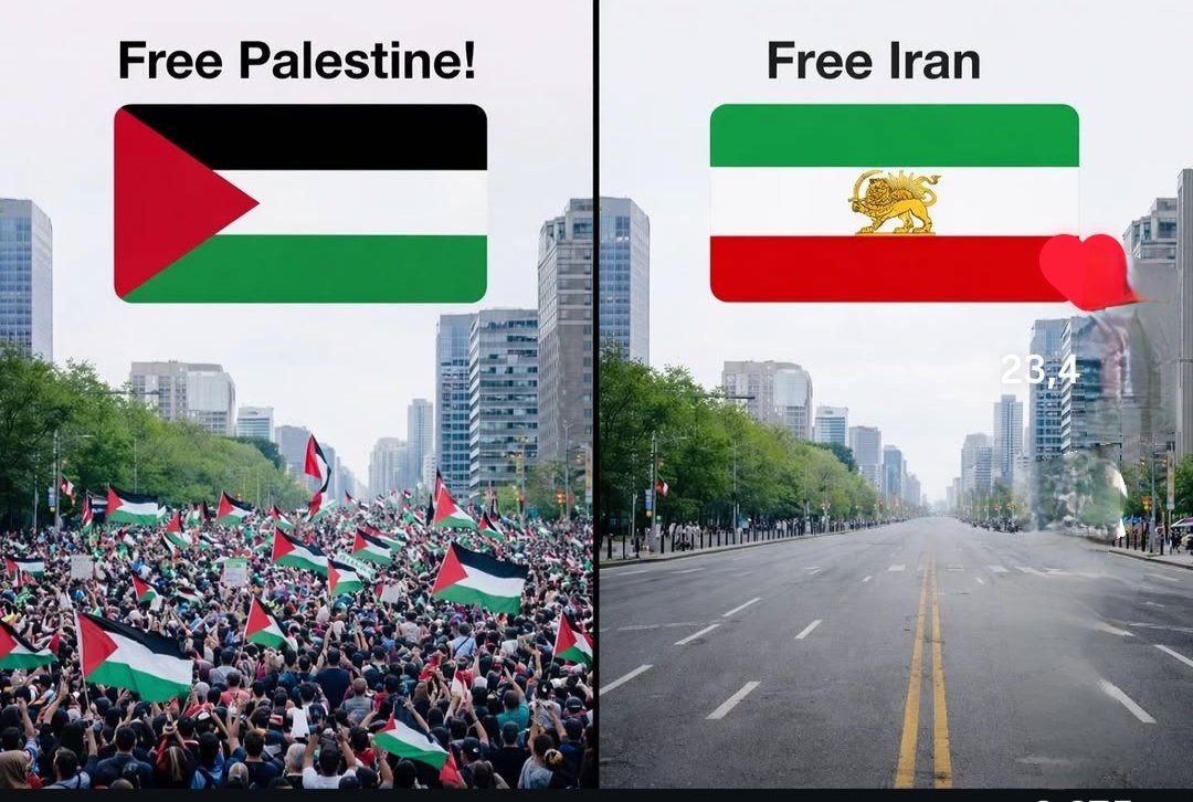 Vincentand tweet media