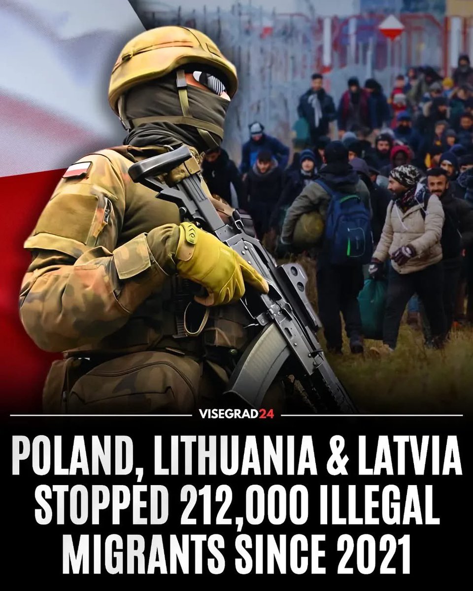 Visegrád 24 tweet media