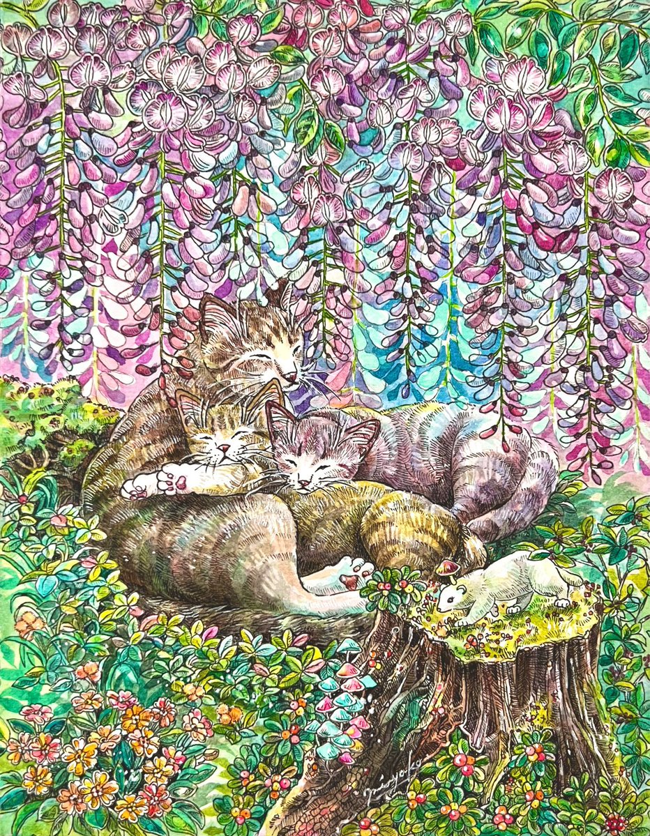 原田みやこ(MiyakoHarada)アイコン変更🐈 tweet media