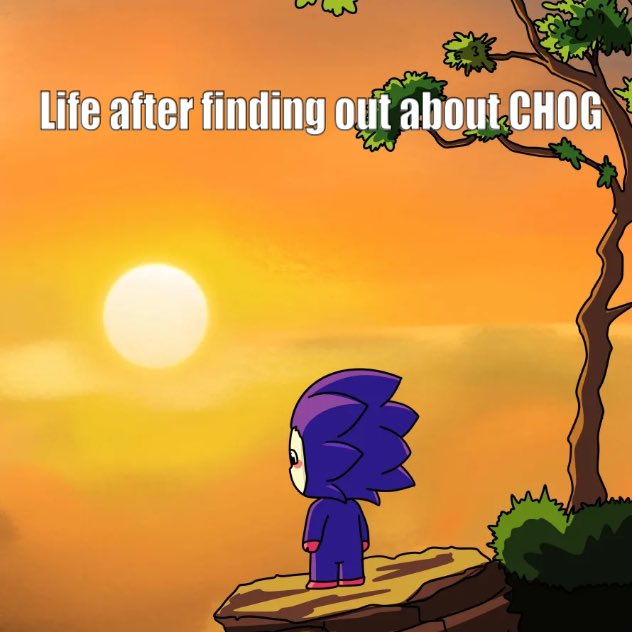 Crypto Wizard tweet media