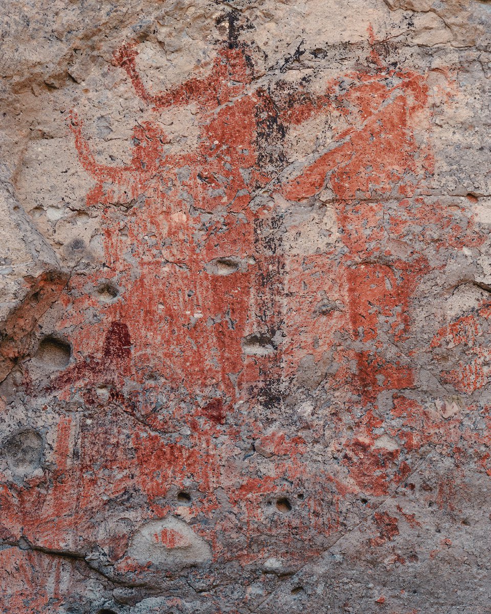 Bradshaw Foundation tweet media