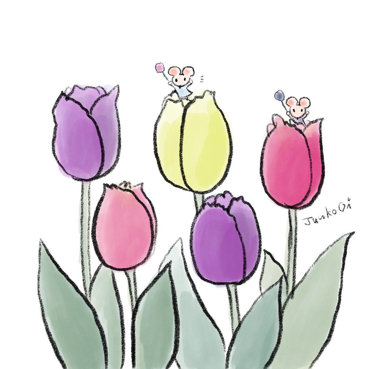 おおいじゅんこ tweet media