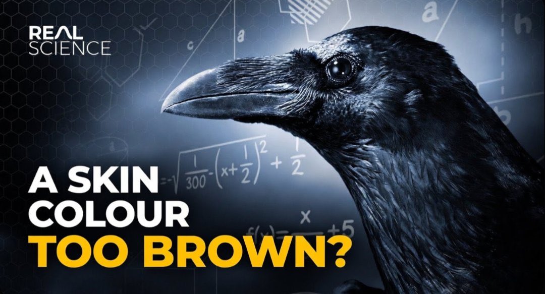 destroyer of liberals✝️ tweet media