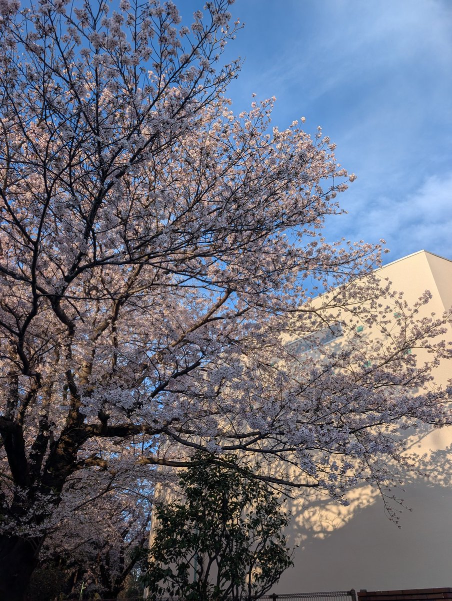 ksnjr24's tweet image. 今日は #TKO Team Kick Off!!
経営者が誰も見なかった経営見える化ダッシュボードの廃止から1年。失敗から学んだことをふまえ、whyとwhatの再定義。ビジュアルアナリティクスのサイクルを回していけるような場づくり。挑戦者として若手データエンジニア育成に努めます！ #sab #dbx