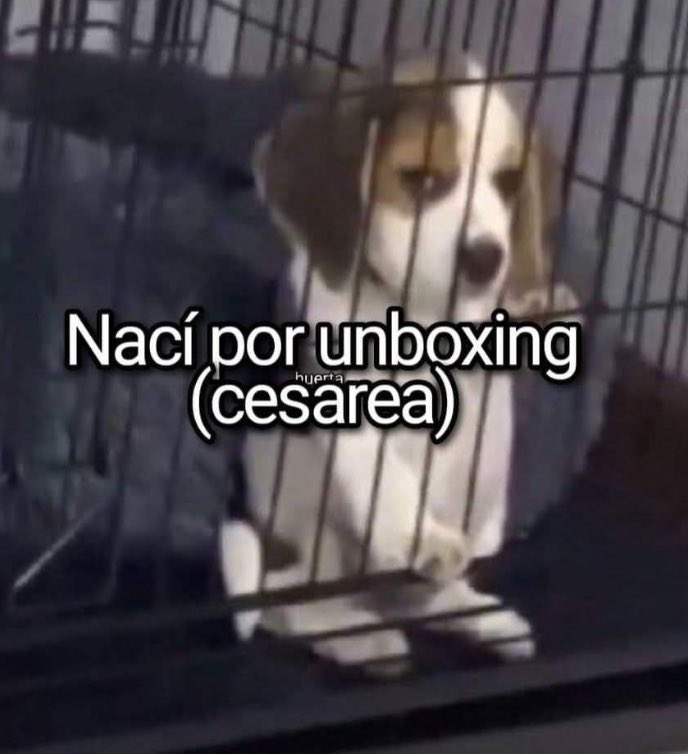 🐶