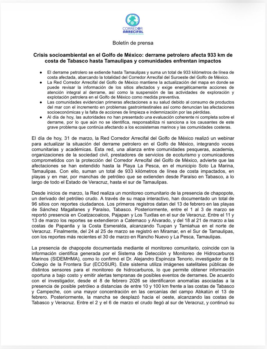 ernesto_mendez's tweet image. #Chapopote #ALERTA ‼️
Los integrantes de la Red Corredor Arrecifal del Golfo de México informaron que el derrame petrolero se extiende hasta #Tamaulipas y suma un total de 933 kilómetros de línea de costa, abarcando 96 sitios contaminados.