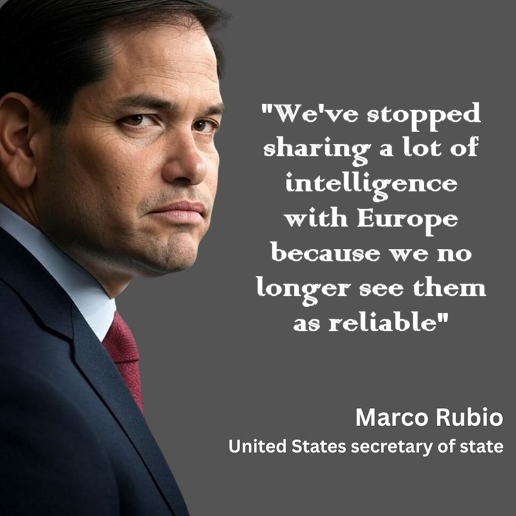 RogueSailor tweet media