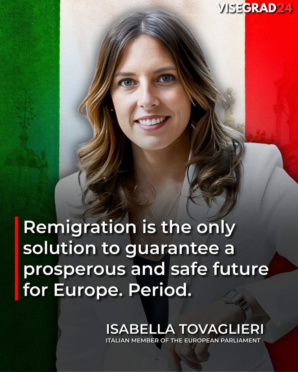 Visegrád 24 tweet media