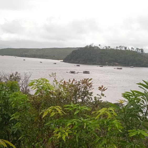 Fritz Sanchez tweet media