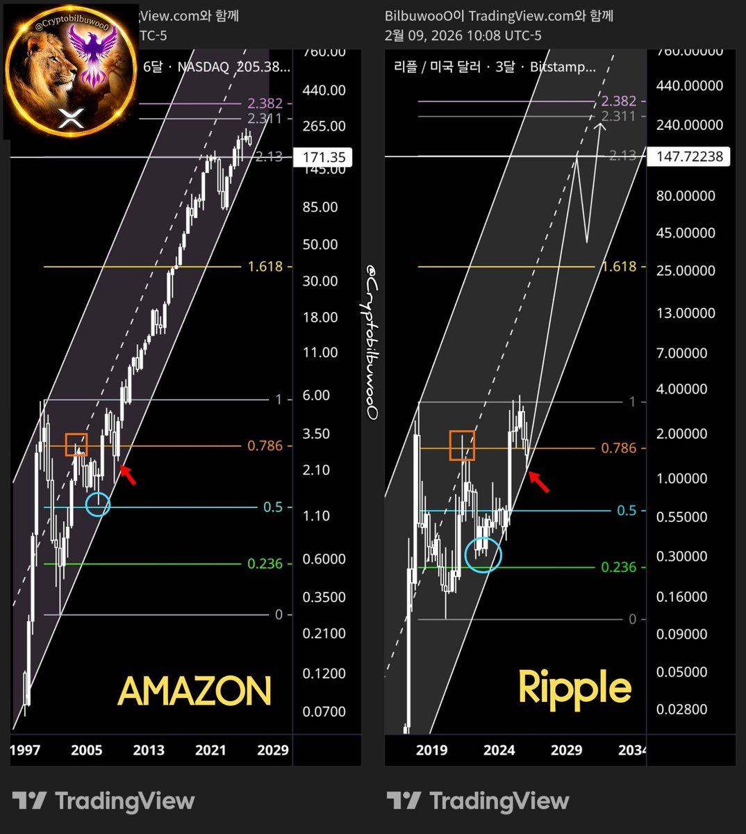 X Rising Phoenix Ripple Amazon & Ripple🌊