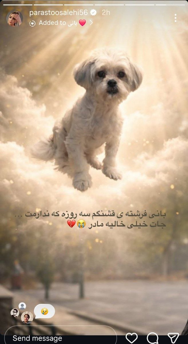 🇮🇷 ساسان دانش پژوه tweet media